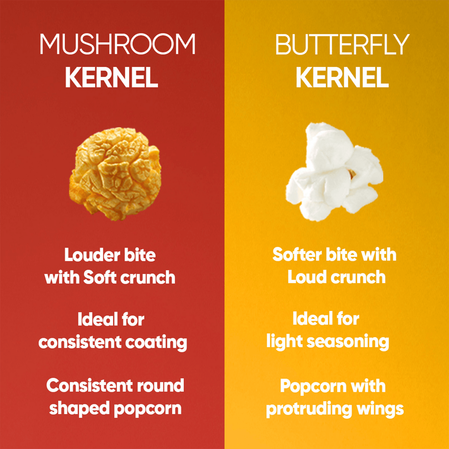 4700BC Netflix Cheese & Caramel Popcorn Tin (Pack of 2,50g)